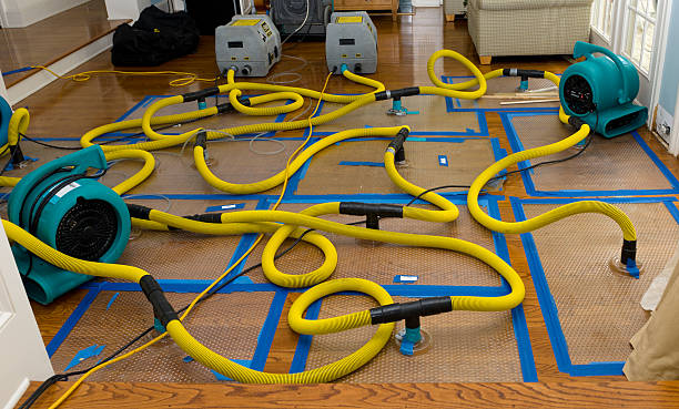 Professional Crawl Space Water Removal technician working in Savannah, TX